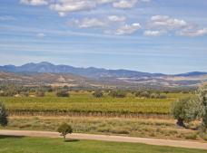 Bodegas Carabal en Alía. Denominación de Origen Ribera del Guadiana.